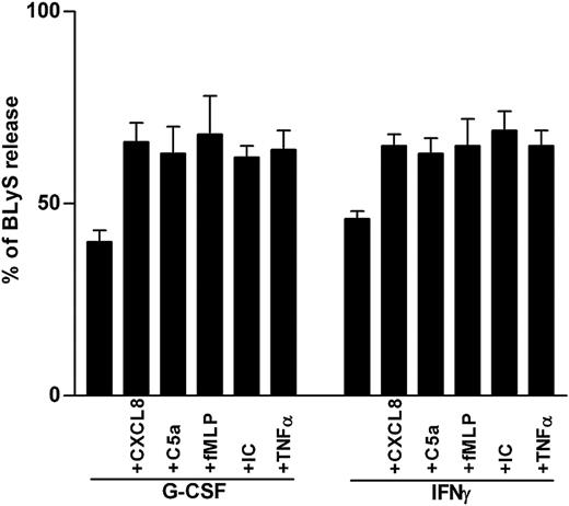 Figure 3. Secretagogue effect on BLyS by proinflammatory mediators. Neutrophils were incubated with or without G-CSF or IFN-γ for 20 hours before the addition of CXCL8, C5a, fMLP, IC, or TNF-α. Cell-free supernatants and the corresponding cell pellets were harvested after 4 hours and were analyzed for the content of antigenic BLyS. Percentages of secreted BLyS were calculated from the total BLyS levels. Data report the mean ± SEM of the percentages of BLyS release under the various conditions (calculated from 6 and 3 experiments for G-CSF– and IFN-γ–treated neutrophils, respectively).