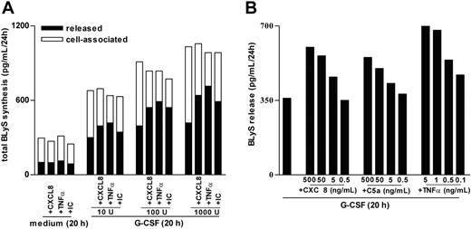 Figure 4. Characterization of BLyS secretion by G-CSF–treated neutrophils stimulated with proinflammatory mediators. (A) Neutrophils were incubated with doses of G-CSF ranging from 10 to 1000 U/mL for 20 hours before the addition of CXCL8, TNF-α, or IC. After an additional 4 hours, cell-free supernatants and the corresponding cell pellets were harvested for determination of antigenic BLyS. Mean values of the total production of BLyS (depicted as cell associated and released) are shown. The experiment depicted in this figure is representative of 2. (B) Neutrophils were preincubated with 100 U/mL G-CSF for 20 hours before the addition of CXCL8, C5a, and TNF-α at the doses indicated. After an additional 4 hours, cell-free supernatants were harvested for determination of antigenic BLyS. Mean values of released BLyS are shown. The experiment depicted in this figure is representative of 3.