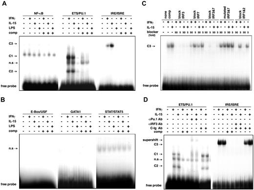 Figure 3. Specific protein binding of ETS/PU.1 and IRE/ISRE consensus sequences of IL12RB1 promoter. (A-B) RAW264.7 cells were left untreated or were treated with IFN-γ, IL-15, or LPS for 45 minutes, and the nuclear extracts were prepared for EMSA. Two micrograms nuclear extract was incubated with 32P-labeled oligonucleotides complementary to the indicated consensus elements. DNA-protein complexes were separated on a 6% polyacrylamide gel. C1 and C2 indicate protein complex binding to ETS/PU.1; C3, protein complex binding to IRE/ISRE consensus sequence; n.s, nonspecific complex; comp, EMSA binding reaction containing 20-fold excess of the specific cold competitor. (C) Identification of IRF binding to the IRE/ISRE site of the IL12RB1 promoter. Cold oligonucleotides used in the competition assays are indicated. None comp indicates EMSA binding reaction that contained no competitor. (D) Supershift assay using anti-PU.1 antibody (αPU.1 Ab), anti-IRF3 antibody (αIRF3 Ab), or control isotype antibody (C-Ig Ab). EMSA was carried out as in panel A. For supershift experiments, nuclear extracts were preincubated with 2 μg indicated antibody for 1 hour before 32P-labeled probe was added. Modified DNA-protein complexes are indicated.