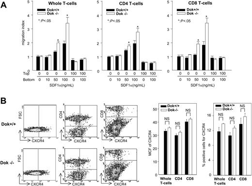 Figure 6. Migration to SDF-1α and CXCR expression of splenic T cells from control or Dok–/– mice. Half a million purified T cells from Dok–/– or control (Dok+/+) mice were subjected to migration assay in a positive gradient of escalating doses of recombinant murine (rm) SDF-1α and a negative gradient and zero gradient of 100ng/mL of SDF-1α. After 4-hour migration, cells were enumerated by flow cytometry. (A) Input cells and migrated cells were stained with anti-CD4 and anti-CD8 antibodies to determine the numbers of CD4 and CD8 cells migrated. Migration index of whole, CD4, and CD8 cells are shown. Data are expressed as mean ± SEM from 6 mice of each group for CD4 cells (2 experiments with 3 mice each) and 3 mice of each group for whole or CD8 migration (*P < .05 compared with control cells. (B) Isolated T cells were stained with anti-CXCR4 and anti-CD4 or anti-CD8 antibodies. (left) Result of 1 representative experiment. (right) Percentage of positive cells and mean channel fluorescence (MCF) for CXCR4. Data are mean ± SEM of 3 mice per group for 1 experiment. NS indicates not significant.
