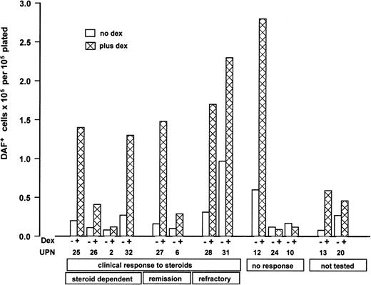 Figure 5. Individual paired results of cultures with and without steroids for 13 patients with DBA grouped according to clinical status at the time of study. Results are expressed as total DAF+ cells × 105 at day 7 of liquid phase 2 per 1 × 105 total nonadherent cells plated in phase 2. Serum-free culture with IL-3/SCF with or without 1 × 10-7 M dexamethasone in both phases, plus 2 U/mL Epo in phase 2. Patient details are given in Table 1. □ indicates no dexamethasone; ▩ , added dexamethasone. Clinical response to steroids is defined as achieving transfusion independence. “Steroid dependent” indicates continuing transfusion independence on steroid therapy; “remission,” continuing transfusion independence off steroids after initial response; “refractory,” loss of steroid responsiveness after initial response, now transfusion-dependent; “not tested,” trial of steroids not yet started (UPN 13 had mild anemia not requiring treatment; UPN 20 was transfusion-dependent at time of testing).