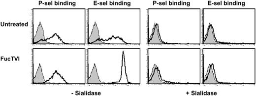 Figure 7. Selectin ligands on CB-CD34+ cells are sialylated. Purified FucTVI-treated or control CB-CD34+ cells were incubated with sialidase or vehicle and assayed for P- and E-selectin binding. Sialidase treatment completely abrogated selectin binding in both FucTVI-treated and control CB-CD34+ cells. Shown is 1 of 3 experiments with the same result. Filled histograms represent control chimera binding performed in the presence of 5 mM EDTA.