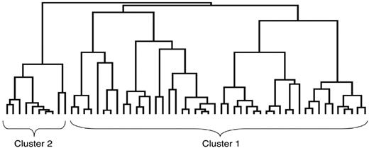 Figure 1. Dendrogram of cluster analysis. Fifty-six CLL samples from fludarabine-naive patients were analyzed for gene expression of 7 genes involved in fludarabine transport and metabolism. Uncentered hierarchical gene clustering analysis organized the samples displayed graphically in the form of a dendrogram. Samples with similar expression patterns of the 7 genes are adjacent to one another, and the dendrogram branch lengths reflect the degree of similarity between the clustered groups. Two major expression patterns (cluster 1 and cluster 2) are identified.