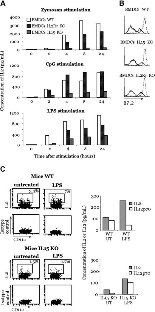 Figure 2. Inhibition of IL-2 production in IL-15-deficient mice. (A) IL-2 production by IL-15-deficient, IL-2Rγ-deficient, and WT BMDCs after zymosan A, CpG, and LPS stimulation. (B) Activation profile of BMDCs after stimulation with zymosan. B7-2 molecule expression of unstimulated DCs (solid lines) and after 24-hour zymosan activation (dotted lines). (C) In vivo IL-2 production by DCs after LPS treatment. LPS was injected into WT or IL-15-deficient mice. Three hours later, CD11c+ cells were purified from the spleen and double stained with anti-CD11c and anti-IL-2 or isotype control antibodies. Some sorted cells were put in culture; after 24 hours, the production of IL-2 and IL-12p70 in the supernatant was measured. Panels A, B, and C are representative of 1 experiment each of 3 independent experiments with comparable results.