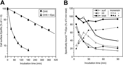 Figure 1. Internalization and degradation kinetics of the cell surface EpoRs.(A) Degradation kinetics of the cell surface EpoRs in resting (▪) and Epo-stimulated cells (▴). Resting UT-7 cells were incubated with 500 μM cycloheximide (CHX) for the indicated times, and cell surface EpoRs were quantified by a 10-minute incubation with 1 nM 125I-Epo. Quantification of cell surface EpoRs during Epo stimulation was performed by preincubating resting UT-7 cells for 15 minutes with cycloheximide before Epo stimulation. At the indicated times, cells were sampled for the determination of cell surface–associated radioactivity as described in “Materials and methods.” (B) Kinetics of 125I-Epo internalization. Resting UT-7 cells were preincubated for 15 minutes with 100 μM monensin (closed symbols) or with solvent alone (open symbols) before stimulation with 125I-Epo. At the indicated times, cells were sampled for the determination of cell surface–associated radioactivity (squares, thin lines) and internalized radioactivity (triangles, dashed lines). Total cell-associated radioactivity is also presented on the graph (circles, thick lines).