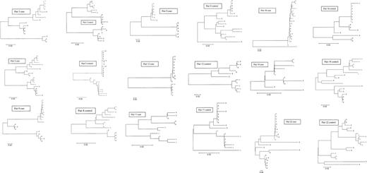 Figure 2. Phylogenetic trees from early/late E2/NS1 HVR1 clonal sets from ESLD progressors (cases) and nonprogressors (controls), constructed in MEGA2.1 using the neighbor-joining method of Saitou and Nei.23 Sequences from early time point clones are labeled with an “E” at the end of the sequence name. Late time point sequences are labeled with an “L.” One matched pair is not represented here due to a subtype shift in the progressor that precluded tree generation in MEGA. Progressors trended toward greater genetic diversity at the early time point than nonprogressors (P = .04) and demonstrated significant narrowing of genetic diversity over time, regardless of infection status (P = .04). Nonprogressors maintained the same level of diversity over the study duration.