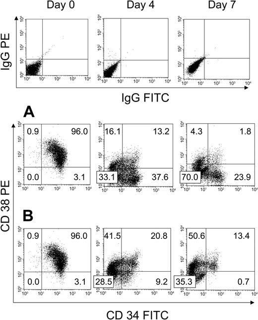 Figure 1. Phenotypic analysis of unsorted BM CD34+ cells at day 0 and following HUBEC culture versus GM36SF alone. Human BM CD34+ cells were cultured with either HUBEC monolayers supplemented with GM36SF or GM36SF alone for 7 days (N = 3). (A) Representative phenotype of BM CD34+ cells at day 0, day 4, and day 7 of HUBEC culture, demonstrating a high percentage of CD34+CD38– cells persistent after culture. (B) Representative phenotype of BM CD34+ cells at day 0, day 4, and day 7 of culture with GM36SF alone, demonstrating nearly complete loss of CD34+CD38– cells. All cell populations were stained with anti-CD34–FITC and anti-CD38–PE antibodies and analyzed by flow cytometry. Isotype control staining for each time point is shown at top. Numbers indicate the percent of cells in each quadrant.