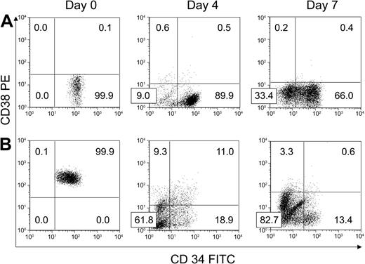 Figure 2. Phenotypic response of purified BM CD34+CD38– and CD34+CD38+ cells to ex vivo culture with HUBECs. (A) A representative experiment showing the phenotypic changes that occurred within FACS-sorted BM CD34+CD38– cells over 7 days of culture with HUBECs + GM36SF. Note that the majority of day-7 HUBEC-cultured cells were either CD34+CD38– or CD34–CD38– (N = 8). (B) A representative experiment showing the phenotypic changes that occurred within FACS-sorted BM CD34+CD38+ cells over 7 days of coculture with HUBECs + GM36SF. At day 7, the majority of the cells are CD34–CD38–, but a minor population of CD34dimCD38– cells remains. Numbers indicate the percentage of cells in each quadrant.