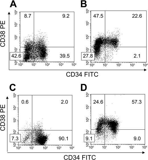 Figure 3. HUBEC noncontact cultures and HUBECs + TSF support the differential maintenance of CD34+CD38– cells. BM CD34+CD38– cells were placed in 7-day cultures to determine phenotype changes over time (N = 3 each). (A) Following 7-day noncontact culture with HUBECs + GM36SF, a high percentage of CD34+CD38– cells persisted over time. (B) Following 7-day culture with GM36SF alone, significant losses of CD34+CD38– cells were observed. (C) Following 7-day culture with HUBECs + TSF, the majority of cells remained CD34+CD38– after culture. (D) Conversely, at day 7 of culture with TSF alone, the majority of the input CD34+CD38– population was lost. Numbers indicate the percentage of cells in each quadrant.