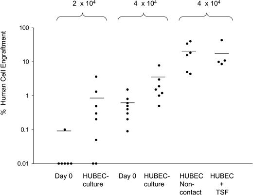 Figure 4. HUBEC coculture significantly increases the SRC frequency within human BM CD34+CD38– cells. The scatter plot shows the level of human CD45+ cell engraftment in NOD/SCID mice at week 8 following transplantation with FACS-sorted BM CD34+CD38– cells or their progeny as indicated. The progeny of 2 × 104 to 4 × 104 BM CD34+CD38– cells cultured × 7 days with HUBECs + GM36SF showed significantly higher levels of human engraftment compared with day-0 BM CD34+CD38– cells at the same dose. As shown at right, the highest human CD45+ cell engraftment was observed in mice that received transplants of the progeny of 4 × 104 BM CD34+CD38– cells following noncontact HUBEC cultures + GM36SF. Mice that received transplants of the progeny of BM CD34+CD38– cells cultured with HUBECs + TSF displayed comparable engraftment to noncontact HUBEC + GM36SF cultures. Each circle represents an individual mouse that received a transplant of human BM cells. Values on the Y-axis indicate the percentage of human CD45+ cell engraftment within the marrow of individual mice that received NOD/SCID transplants. The cell dosages for each group are shown at top. The mean levels of human CD45+ cell engraftment are indicated by horizontal bars for each group.