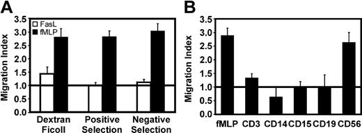 Figure 1. CD56+ cells are involved in FasL-mediated granulocyte migration. (A) Granulocyte migration was evaluated using fMLP (▪) or cross-linked FasL (□). Granulocytes were isolated by Dextran-Ficoll (> 90% pure), CD15+ selection (> 98% pure), or MACS depletion with CD3, CD14, CD19, and CD56 microbeads (> 95% pure). (B) Ability of other leukocytes to induce indirect FasL-mediated granulocyte migration. The horizontal line at migration index 1.0 indicates lack of chemotaxis. Cell purity was as follows: CD3 (> 98%), CD14 (> 75%), CD15 (> 98%), CD19 (> 95%), CD56 (> 95%). Data shown are the mean ± SEM of 3 different donors.