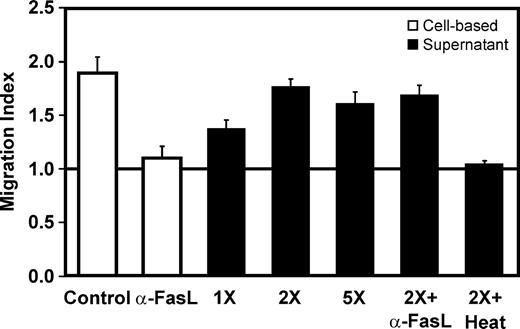 Figure 6. Soluble chemotactic factors are released upon Fas engagement. Indirect granulocyte recruitment and efficiency of the neutralizing FasL antibody in cell-based assays (□). Granulocyte migration induced by CD56+CD3+ supernatants (▪); cells were treated with FasL, supernatants were cleared on a 100-kDa filter and concentrated 5-fold on a 1-kDa filter. Supernatant dilutions were used in migration assays alone or with the neutralizing NOK-1 FasL antibody. The horizontal line at migration index 1.0 indicates lack of chemotaxis. The presence of labile factors in the supernatant was confirmed by heat-inactivation of 30 minutes at 95°C. Data shown are the mean ± SEM of 2 independent experiments.
