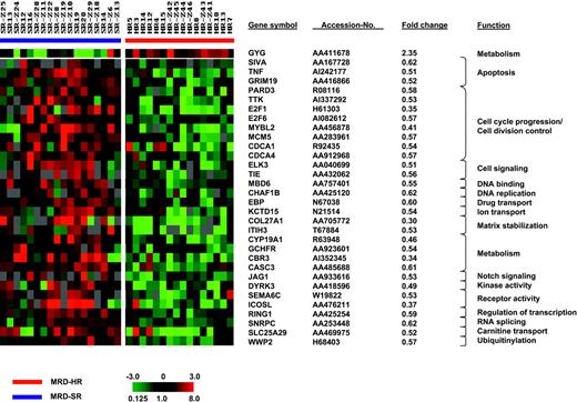 Figure 2. Genes whose expression is associated with molecular treatment response. SAM identified 55 clones representing 54 genes that distinguished poor from good molecular treatment response when considering a false discovery rate of less than 5%. Each column represents 1 sample, each row 1 clone. Variation in expression is displayed as a variation in color. The color scale extends from 0.125- to 8.0-fold of the mean (-3 to 3 in log2 space), as indicated in the left lower corner. Gray represents data that were omitted because they were not well measured, as described in “Patients, materials, and methods.” Selected clones, their respective accession numbers, fold changes, and functions are shown.