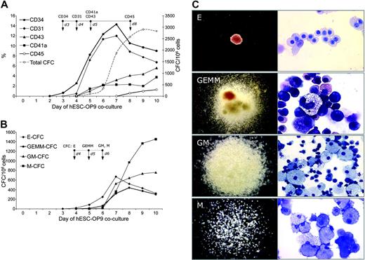 Figure 2. Induction of hematopoietic molecules and CFCs during hES cells/OP9 coculture. (A) Percentages of CD34+, CD31+, CD43+, CD41a+, and CD45+ cells (left Y-scale) as determined by flow cytometry, and total numbers of CFCs (right Y-scale) in hES cell/OP9 coculture at days 1 through 10. Day 0 indicates undifferentiated hES cells. (B) Kinetic of different CFC types in hES cell/OP9 coculture. Panels A and B represent mean results from 6 experiments (H1 = 3; H9 = 3); arrows on the top of each figure point to the earliest day when expression of indicated markers or CFCs was detectable. (C) Morphology (left column) and Wright staining of cytospins (right column) of different CFC types. Images captured with an inverted Leica DM1RB microscope (Leica Microsystems) using 5 × objective with numerical aperture 0.12 (left column) and Olympus BX51 microscope (Olympus America Inc., Melville, NY) using 40 × with numerical aperture 0.75 (GM-CFC, M-CFC) and 100 × with numerical aperture 1.30 (E-CFC, GEMM-CFC) objectives (right column) and acquired through Spot RT camera and Spot software (Diagnostic Instruments).