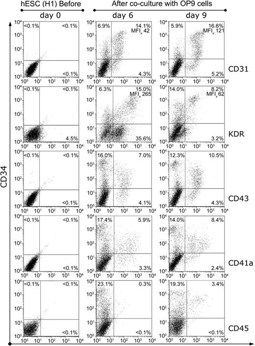 Figure 3. Sequential phenotypic analysis of differentiated hES cells in OP9 coculture. Representative phenotype of undifferentiated (day 0) and differentiated H1 hES cells on day 6 and day 9 of OP9 coculture. Single cell suspension from hES cell/OP9 coculture obtained at the indicated time was labeled with CD34 (y-axis) and with CD31, KDR, CD43, CD41a, or CD45 mAbs as indicated in right side of each row (x-axis). Numbers indicate percentages of positive cells and MFI (x-scale) in corresponding quadrants.