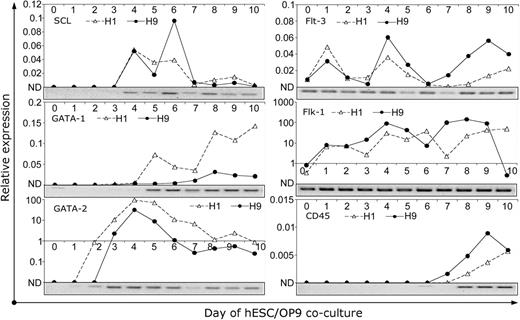 Figure 4. Kinetic analysis of hematopoiesis-associated gene expression by QRT-PCR. Human-specific primers listed in Table 1 were used to amplify indicated genes during H1 and H9 differentiation in OP9 coculture. Pictures under each graph show corresponding agarose gel electrophoresis of QPCR from H1 cell samples. Gene expression relative to bone marrow RNA was calculated using ΔΔCt method as described in “Materials and methods.”