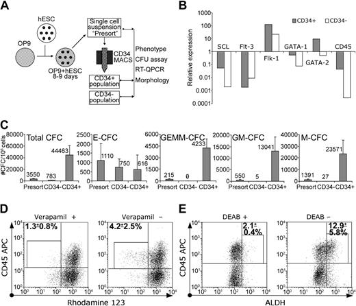 Figure 5. Isolated CD34+ cells revealed hematopoietic progenitor potential. (A) Schematic diagram of the protocol used for CD34+ cells' isolation and analysis. (B) Relative expression of hematopoiesis-associated genes in CD34+ and CD34– populations by QPCR. (C) Clonogenic potential of H1 CD34+ and CD34– cells. Results are mean ± SD of 4 experiments. (D) Rho efflux and CD45 expression by isolated CD34+ cells were analyzed by flow cytometry. The gates used to distinguish Rholow population of CD34+CD45+ cells and percentages of Rholow cells within this gate (mean ± SD of 3 experiments; H1 = 2, H9 = 1) are indicated. (E) ALDH and CD45 expression by isolated CD34+ cells were analyzed by flow cytometry. The gates used to distinguish the ALDHhigh population of CD34+CD45+ cells and percentages of ALDHhigh cells within the gates (mean ± SD of 3 experiments; H1 = 2, H9 = 1) are indicated.