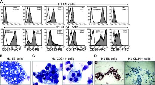 Figure 6. Phenotype and morphology of undifferentiated hES cells and hES cell–derived CD34+ cells. (A) Comparative expression of hematopoiesis-associated surface molecules on undifferentiated hES cells (top row) and isolated CD34+ cells (bottom row). Depicted histograms represent H1 cells, MFI values in the right histogram corner are mean ± SD of 9 experiments (H1 = 6, H9 = 3). (B) Morphology of Wright-stained cytospins of undifferentiated H1 hES cells. (C) Wright-stained cytospins of isolated H1 CD34+ cells demonstrate 2 different populations. (D) Oct-4 immunostaining of undifferentiated H1 ES cells and H1-derived CD34+ cells. CD34+ cells are Oct-4 negative. Images were captured with an Olympus BX51 microscope (Olympus America Inc.) using 20 × with numerical aperture 0.5 (D) and 100 × with numerical aperture 1.30 (B,C) objectives; and acquired through Spot RT camera and Spot software (Diagnostic Instruments).