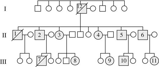 Figure 1. Pedigree of AD DC family with TERC mutation. Molecular analyses were performed on 10 patients, UPN 2 to UPN 11, and all shared the same 74–base pair deletion of the 3′ end of the mature TERC RNA. UPNs 2 and 12 had classical features of this disease and died of hematologic and pulmonary complications prior to the study onset.