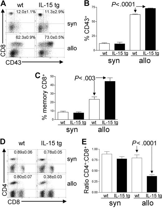 Figure 4. Deregulation of endogenous IL-15 alters the T-cell phenotype after allogeneic BMT. Spleens were harvested from syngeneic or allogeneic bone marrow transplant recipients 12 or 13 days after transplantation. (A-B) The percentage of gated CD8+ T lymphocytes that were also positive for the activation antigen CD43 was determined by 2-color flow cytometric analysis. Values represent mean ± SE for all groups and are representative of 2 independent experiments involving a total of 17 mice. (C) The percentage of gated lymphocytes that was CD8+CD44highCD62Llow was determined by 3-color flow cytometric analysis. Values represent combined mean ± SE from 3 independent experiments involving a total of 24 mice. (D-E) The ratio of CD4+/CD8+ T lymphocytes was determined by 2-color flow cytometric analysis. Values represent combined mean ± SE from 3 independent experiments involving a total of 24 mice.