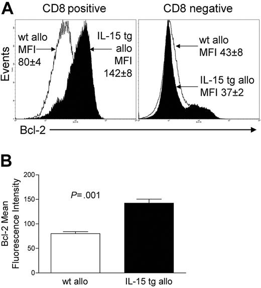 Figure 5. Deregulation of endogenous IL-15 increases Bcl-2 expression in CD8+ T lymphocytes after allogeneic BMT. Spleens were harvested from recipients of IL-15 tg B6 or wt B6 allogeneic BM cells 12 or 13 days after transplantation. (A) Flow cytometry histogram showing Bcl-2 protein expression in gated CD8+ or CD8- splenocytes taken from recipients of wt B6 allogeneic (open histogram) or IL-15 tg B6 allogeneic (solid histogram) BM cells. Mean fluorescence intensity (MFI) values for each group (mean ± SE) are indicated. (B) MFI values for Bcl-2 were obtained from gated CD8+ lymphocyte populations. Mean Bcl-2 MFI values ± SE for recipients of wt B6 or IL-15 tg B6 allogeneic BM cells are shown. Data are representative of 2 independent experiments involving a total of 13 mice.