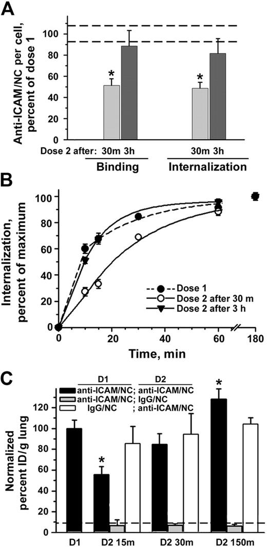 Figure 3. Recurrent targeting of anti-ICAM nanocarriers to endothelium in vitro and in vivo. (A) Sequential targeting of 2 doses of anti-ICAM/NCs into TNF-α–activated HUVECs. The number of surface-bound and internalized anti-ICAM/NCs in the first dose is taken as 100% (dashed lines represent the standard deviation of this control value). Binding and internalization of the second dose anti-ICAM/NCs were inhibited at 30 minutes after the internalization of the first dose, yet recovered to 100% by 3 hours. (B) Internalization kinetics for the first dose and second dose at 30 minutes versus 3 hours, determined as percent of internalized nanocarriers. Data are means ± SEM for n > 20 cells from 2 independent experiments. (C) Control mice received a single injection intravenously of either 125I-labeled anti-ICAM/NCs (first dose, D1) or IgG/NCs (dashed line) to test targeting to the lungs. In other groups, mice were injected with nonlabeled anti-ICAM/NCs followed by a similar dose of 125I-labeled anti-ICAM/NCs (black bars) or 125I-IgG/NCs (gray bars) either 15, 30, or 150 minutes later (second dose, D2). In a separate group, mice were injected with a first dose of nonlabeled IgG/NCs and a second dose of 125I-labeled anti-ICAM/NCs (white bars). Lung uptake was calculated as percent of injected dose per gram and plotted as percent of the level obtained with a single dose of anti-ICAM/NCs (D1) as M ± SEM, n = 4-5.