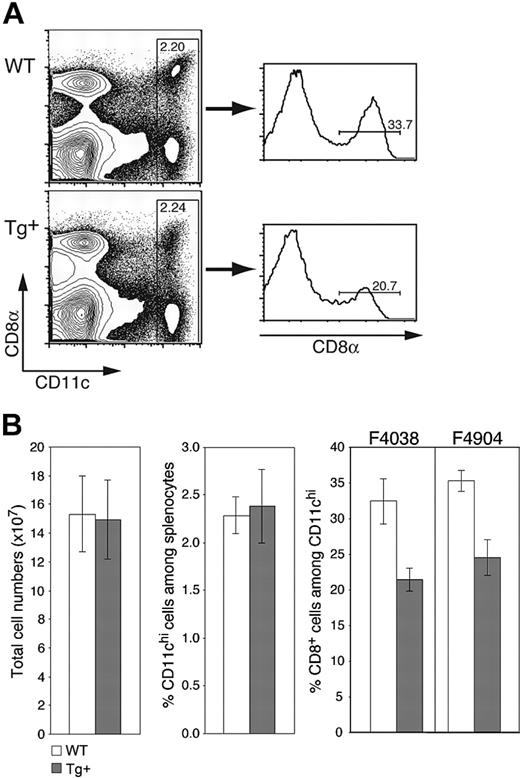 Figure 2. CD11c-Rac1(N17) mice have normal DC numbers but reduced frequencies of CD8+ splenic DCs. Splenocytes from Tg+ mice and WT controls were prepared as described in “Materials and methods” and stained with mAb specific for CD11c and CD8α as well as PI to exclude dead cells. (A) Representative dot plots are gated on live (PI-) cells, with staining for CD11c and CD8 as indicated. Histograms are gated on CD11chi cells. Cell frequencies within the specified gates are shown. (B) Mean (± SD) values for total splenic cell numbers, DC frequencies, and CD8+ DC percentages are shown (n = 7, representative of more than 5 experiments with similar results). Analyses from founder lines F4038 (n = 7) and F4904 (n = 3) are shown. Populations were defined as indicated in panel A.