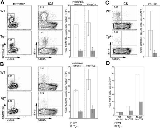 Figure 6. Reduced expansion of epitope-specific T cells in Lm-infected CD11c-Rac1(N17) mice. Spleens from Tg+ mice and WT controls were harvested 7 days after infection with 2000 Lm-OVA, and the frequencies of T cells specific for SIINFEKL (A), fMIGWII (B), and LLO190-201 (C) were analyzed. A portion of cells was stained with PE-conjugated tetramers (H2-Kb/SIINFEKL or H2-M3/fMIGWII) in combination with anti-CD62L and anti-CD8α mAb and EMA to stain dead cells. Other cells were stimulated briefly (5 hours) in vitro in the presence of 10-6 M SIINFEKL, fMIGWII, or LLO190-201 peptide and brefeldin A. Intracellular staining (ICS) for IFN-γ followed staining with EMA and mAb specific for CD4, CD8α, and CD62L. Dot plots are gated on live CD8+ cells (SIINFEKL and fMIGWII) or CD4+ cells (LLO190-201), with the frequency of activated (CD62Llow, x-axis) epitope-specific T cells as determined by tetramer or intracellular IFN-γ staining (y-axis, left and right dot plots, respectively) indicated. Total numbers of epitope-specific T cells are shown in the graphs to the right of each set of dot plots (n = 3 ± SD). Results are representative of 2 independent experiments. (D) CFSE-labeled OT-1 cells (2.5 × 106) were transferred into Tg+ mice and WT controls, and mice were infected 1 day later with 1000 or 10 000 Lm-OVA. A group of control mice received OT-1 cells but was not infected. Splenocytes were harvested 3 days after Lm-OVA infection and stained with PI, anti-CD8α mAb, and Kb/SIINFEKL tetramers. The graph shows total numbers of OT-1 cells (positive for CFSE and tetramer) for 2 mice per group. Results are representative of 2 independent experiments.