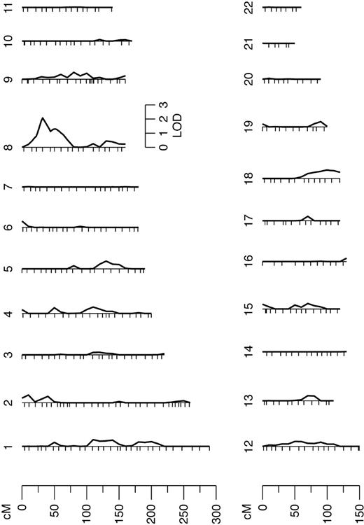 Figure 1. Results from the autosomal multipoint genome scan. Hatch marks along the length of the chromosomes indicate the positions of genotyped markers.