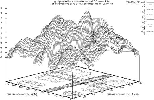 Figure 3. A 3-dimensional 2-locus LOD-score plot for chromosomes 5 and 11.