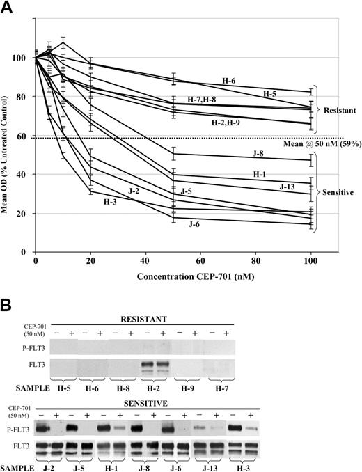 Figure 5. In primary infant and childhood ALL blasts, cytotoxic response to FLT3 inhibition is strongly correlated with high-level expression of constitutively activated FLT3. (A) MTT dose-response curves showing mean cytotoxic response to CEP-701 for primary infant and childhood ALL samples, normalized to untreated controls. Error bars represent standard error of the mean (SEM) of triplicate wells. Patient numbers (from Table 2) are noted next to each curve. H indicates Johns Hopkins patient; and J, St Jude patient. (B) FLT3 immunoprecipitation/Western blotting showing FLT3 phosphorylation status (P-FLT3) and total protein expression (FLT3) for each sample from panel A treated for 1 hour with 50 nM CEP-701 (+) or diluent control (-), grouped by CEP-701 responsiveness.