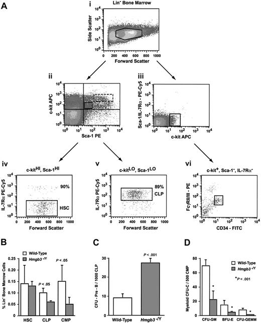Figure 3. Analysis of primitive progenitors in Hmgb3–/Y mice. (A) Representative isolation of wild-type common lymphoid and myeloid progenitors by flow cytometry. (Ai) Lin– bone marrow isolated from wild-type mice. (Aii) CLP and HSC populations were isolated from c-kit and Sca-1 double-positive lin– bone marrow cells. Double-positive cells were further segregated into c-kitLO, Sca-1LO (solid box) and c-kitHI, Sca-1HI (dotted box) populations. Regions were drawn based on isotype staining of littermate control cells. (Aiii) The CMP population was isolated from c-kit+, Sca-1–, and IL-7Rα– lin– bone marrow cells. (Aiv) Further isolation of the HSC population based on IL-7Rα expression in c-kitHI, Sca-1HI cells. Approximately 90% of c-kitLO, Sca-1LO cells were IL-7Rα– (HSC phenotype). (Av) Isolation of the CLP population based on IL-7Rα expression in c-kitLO, Sca-1LO cells. Approximately 89% of c-kitLO, Sca-1LO cells were IL-7Rα+ (CLP phenotype). (Avi) Isolation of the CMP population based on FcγRII/III and CD34 expression in c-kit+, Sca-1–, and IL-7Rα– cells. Cells that are FcγRII/IIILO and CD34+ represent the CMP phenotype. (B) Average number of HSCs (lin–, c-kitHI, Sca-1HI, IL-7Rα–; n = 3), CLPs (lin–, c-kitLO, Sca-1LO, IL-7Rα+; n = 3), and CMPs (lin–, c-kit+, Sca-1–, IL-7Rα–, FcγRII/IIILO, CD34+; n = 4) as determined by the percentage of lineage-negative (lin–) bone marrow cells that stained positive for the HSC, CLP, or CMP phenotype. Staining was performed on lineage-depleted cells isolated from groups of 3 Hmgb3–/Y or wild-type mice prior to analysis by flow cytometry. The data represent the pooled results of 3 (HSCs and CLPs) or 4 (CMPs) independent experiments. (C) Mean CFU–Pre-B frequency generated from wild-type and Hmgb3–/Y CLP populations. CFU–Pre-B frequency within the CLP population was determined by scoring pre–B-cell colonies per 1000 cells cultured: wild-type (n = 8; 355 CFU–Pre-Bs counted); Hmgb3–/Y (n = 8; 890 CFU–Pre-Bs counted). The data represent the pooled results of 2 independent experiments. (D) Mean myeloid colony (CFU-C) frequency generated from wild-type and Hmgb3–/Y CMP populations. Myeloid CFU-C frequency within the CMP population was determined by scoring CFU-GM, BFU-E, and CFU-GEMM colonies per 500 cells cultured: wild-type (n = 10; 813 CFU-GMs, 177 BFU-Es, and 91 CFU-GEMMs counted); Hmgb3–/Y (n = 10; 239 CFU-GMs, 47 BFU-Es, and 17 CFU-GEMMs counted). The data represent the pooled results of 2 independent experiments. P values in panels B-D were determined by Student t test. In panels B-D, error bars represent standard deviation.