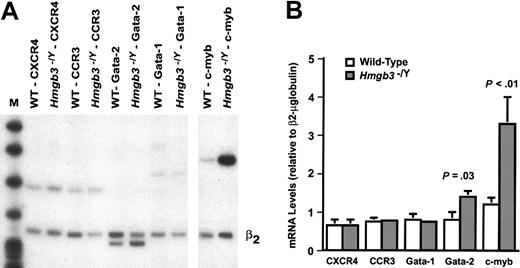 Figure 5. Increased levels of Gata-2 and c-myb in Hmgb3–/Y HSCs. (A) Semiquantitative duplex RT-PCR analysis of selected genes in wild-type and Hmgb3–/Y HSCs (lin–, c-kitHI, Sca-1HI, IL-7Rα–). Test gene mRNA levels were quantified within the linear range of amplification by densitometry and normalized to β2-microglobulin expression. (B) Test gene mRNA levels relative to β2-microglobulin. The amount of test gene mRNA in wild-type (n = 3) and Hmgb3–/Y (n = 3) HSCs was normalized to β2-microglobulin mRNA (β2) by the formula (densitometry value: test/densitometry value: β2-microglobulin). The data represent the pooled results of 3 independent experiments using mRNA isolated from sorted HSCs pooled from 3 mice. Standard deviation values between independent RT-PCR reactions amplifying CCR3 and Gata-1 mRNA from wild-type HSC RNA are not visible on this scale. Error bars represent standard deviation. P values were determined by Student t test.