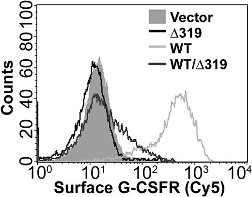 Figure 7. Decreased surface expression of the WT G-CSFR in cells coexpressing the WT G-CSFR and the Δ319 mutant G-CSFR. Flow cytometry was used to analyze surface expression of the G-CSFR in BaF3 cells transfected with empty vector (Vector), the Δ319 G-CSFR, the WT G-CSFR (WT), or both receptor forms (WT/Δ319). The cells (5 × 105) were incubated with biotin-conjugated anti–G-CSFR antibody (LMM741-biotin), washed, then incubated with Cy5-conjugated streptavidin, and analyzed on a FACSCalibur (BD Biosciences) with a total of 10 000 gated events analyzed.