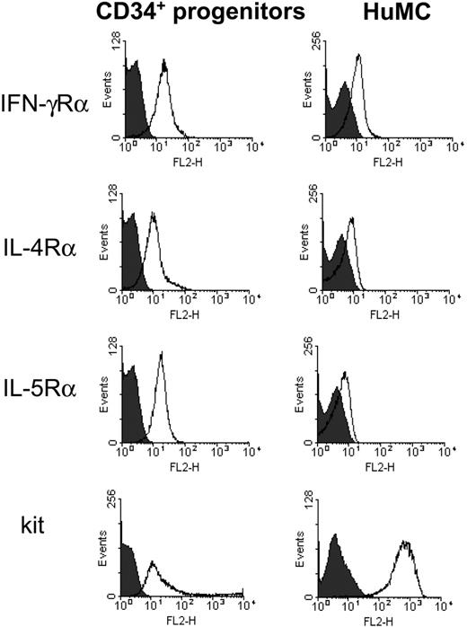 Figure 1. Receptor expression of CD34+ progenitors and mature human mast cells. Mature mast cells were grown for 8 weeks in 100 ng/mL SCF. Cells were stained with anti–IL-4R-PE, anti–IL-5R-PE, and anti–Kit-PE and were analyzed by flow cytometry. For IFN-γR, cells were stained with anti–IFN-γR (α chain) mAb and then with antirabbit-PE. Results shown were verified in the examination of 3 separate cultures from separate donors. No cell growth occurred in the absence of SCF.
