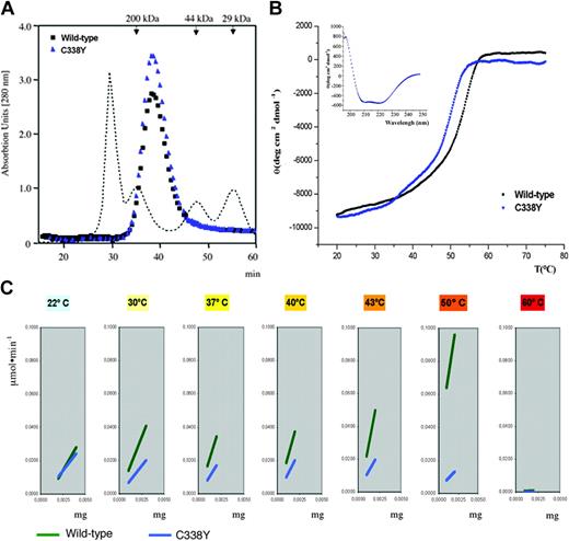 Figure 1. Functional and structural features of recombinant wild-type and Cys338Tyr aldolase A. (A) FPLC profiles of the wild-type (black) and Cys338Tyr (blue) aldolase A enzymes. Both enzymes have a molecular mass of about 170 kDa, as expected for the histidine-tagged homo-tetrameric form of aldolase A. The dotted line and arrows indicate the molecular masses of the protein standards used in calibration, that is, β-amylase (200 kDa), chicken ovalbumin (44 kDa), and carbonic anhydrase (29 kDa) on a 50-cm by 1.6-cm Sephadex G-200 column (Amersham Biosciences, Milan, Italy) in 20 mM Tris (tris(hydroxymethyl)aminomethane)–HCl (pH 7.4), 20% (vol/vol) glycerol, with a flow rate of 0.2 mL/min. (B) Melting curves of wild-type (black) and Cys338Tyr (blue) aldolase A obtained by monitoring molar ellipticity at 222 nm. Inset: the CD spectra of wild-type (black) and Cys338Tyr (blue) aldolase A, recorded at 20°C with 0.4 mg/mL protein. (C) Specific activity represents μmol of hexose substrate cleaved × minute (μmol × minute-1) × mg of enzyme. The hexose fructose 1,6-biphosphate cleavage rate (μmol × minute-1) was determined spectrophotometrically by measuring nicotinamide adenine dinucleotide (NADH) oxidation at 340 nm in a coupled assay with α-glycerolphosphate dehydrogenase/triosophosphate isomerase.