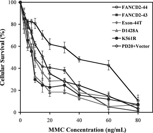 Figure 4. The carboxy terminal region of FANCD2 is required for MMC resistance. Stably transduced PD20 (FA-D2) fibroblasts, expressing the indicated FANCD2 variants and mutant proteins, were grown in the presence of the indicated concentrations of MMC. Cell survival was assessed by a colorimetric assay using crystal violet. Data points represent the average of 3 experiments, with standard deviation.
