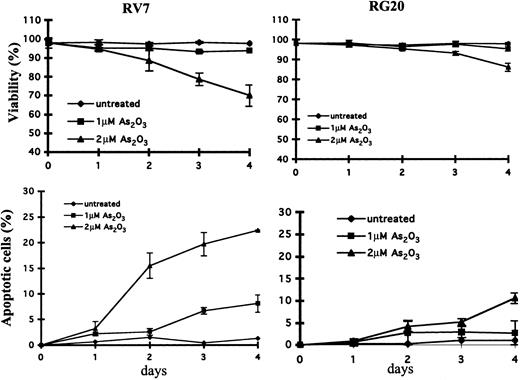 Figure 4. Cytotoxicity and apoptosis induction in GSTP1-transfected Raji clones. GSTP1-transfected RG20 cells and empty vector–transfected RV7 cells were untreated or treated with As2O3 at the indicated concentrations for indicated times. Cytotoxicity (A) was determined by trypan blue staining, and relative levels of apoptotic cells (B) were determined on flow cytometry by Annexin V and PI staining, as described in “Materials and methods.”