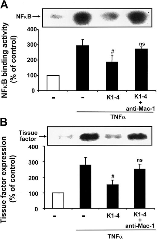 Figure 6. Angiostatin reduces activity of NFκB and tissue factor expression. The DNA binding activity of NFκB as assessed by EMSA (A) as well as the expression of tissue factor as assessed by Western blot (B) are shown in the absence (–; open bar) or presence of TNFα (▪) without or together with K1-4 (500 nM) or K1-4 + mAb to Mac-1 (10 μg/mL), as indicated. The inserts demonstrate a typical EMSA for NFκB DNA binding activity (A) and a typical blot with staining for tissue factor (B). Densitometric data are presented as percentage of control (in the absence of TNFα or competitor) and are mean ± SD of 3 separate experiments, each performed in triplicate. #P < .05; ns indicates not significant, compared with TNFα alone.