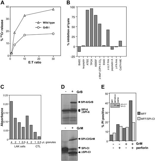 Figure 7. GrM is targeted by SPI-CI. (A) CMT93-RS is lysed by GrB cluster knock-out LAK cells. CMT93-RS was incubated for 5 hours with different E/T ratios of wild-type and GrB knock-out LAKs, and membranolysis was determined using chromium release. (B) Several chymotrypsin inhibitors inhibit lysis of CMT93-RS by GrB cluster knock-out LAK cells. Lysis assays were performed as described in panel A, and inhibitors used are as follows: for tryptase: BAEE (10 mM; Sigma) and leupeptin (0.1 mM; Sigma); for chymotrypsin: ATEE (10 mM; Sigma), TPCK (10 μM; Sigma), AEBSF (0.4 mM; Sigma), and GrM inhibitor z-MetP-(OPh-4-Cl)2 (0.1 mM; kind gift from Jim Powers); for calpain: E64D (40 μM; Sigma) and z-LLY-fmk (20 μM; Enzyme Systems Products, Livermore, CA); for Asp proteases: pepstatin A (25 μg/mL; Calbiochem, San Diego, CA); and for cathepsin B: z-FA-fmk (10 μM; Enzyme Systems Products) and Ca074-ME (25 μM, Calbiochem). None of the inhibitors displayed toxicity on the LAK cells as determined by trypan blue exclusion. (C) Met-ase activity in granule isolates of CTLs and LAK cells was determined using the preferred substrate Boc-Ala-Ala-Met-SBzl. Activity is depicted as absorbance at 405 nm. (D) In vitro association between purified GrB and in vitro–translated SPI-6 and purified GrM and in vitro–translated SPI-CI. Complexes are visualized on reducing SDS-PAGE. (E) Lysis of MFF and MFF/SPI-CI using purified perforin in combination with purified GrM. GrM was added to cells either with or without perforin, and cell death was determined using PI exclusion. One representative experiment of 3 is shown.