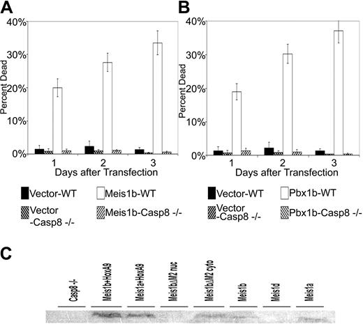 Figure 6. Meis1b and Pbx1b cannot induce apoptosis in caspase 8–null Jurkat T cells. Wild-type and caspase 8–null Jurkat T cells were transiently transfected with murine Meis1b (A) or murine Pbx1b (B) and were assayed for cells undergoing apoptosis at 1-day intervals after transfection. (A-B) Transfection efficiency, 38%. (C) Nuclear lysates from stably transfected Jurkat caspase 8–null cells were separated on a 10% SDS page gel, blotted onto PVDF membrane, and probed with Meis1 antibody 78-5. Nontransfected Jurkat caspase 8–null nuclear extracts were included to assess baseline expression of Meis1 in these cells. Cytoplasmic extract was included for the cell line transfected with Meis1bΔM2.
