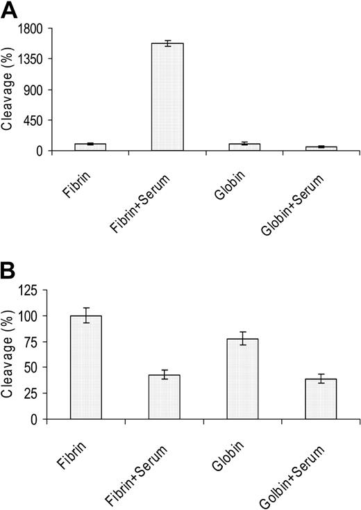 Figure 3. The plasminogen activator activity of scuPA/suPAR is fibrin dependent. (A) scuPA/suPAR (50 nM) was incubated with 125I-fibrin clots or 125I-globin in presence of 1 μM Glu-plasminogen and in the presence or absence of human serum. (B) The same experiment was performed except that tcuPA (25 nM) was added instead of the scuPA/suPAR complex. The 100% point represents fibrinolysis induced by scuPA (A) or tcuPA alone (B). In this and in all experiments that follow, the mean ± SD of 3 separate experiments is shown unless stated otherwise.