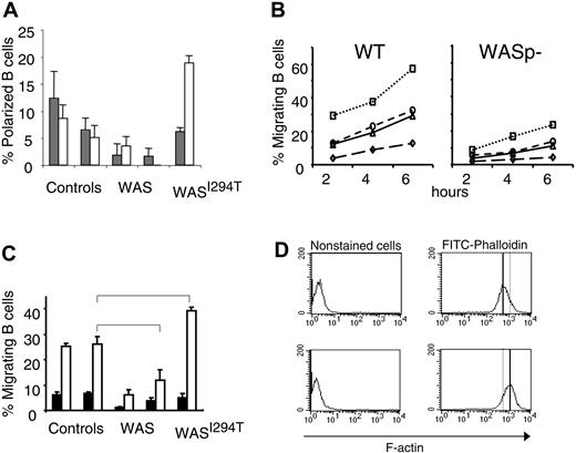 Figure 2. Reduced polarization and migration of human and murine WASp-deficient B cells. (A) B cells from WAS patients, controls, or the WASI294T patient were stimulated with IL-4 or anti-CD40 mAbs for 20 hours. Polarized cells were defined as having a tapered cell body and uropods, whereas nonpolarized cells were spherical in shape. Background values were between 15% to 20% and subtracted from the IL-4 and anti-CD40 values. Results are presented as mean values of triplicate cultures. Error bars indicate one SD. (B) Migration of murine B cells toward CXCL13, CXCL12, CCL19, or medium containing FCS (referred to as background) was determined in a Transwell assay. B cells were purified from wild-type (WT) or WASp-deficient (WASp–) spleens. B cells (100 000) were loaded on the filter in the upper chamber. Cells were allowed to migrate for 2 to 6 hours, after which the number of cells that had migrated to the lower chamber was determined. This observation is representative of at least 3 similar experiments. (C) B cells from WAS patients, controls, or the WASI294T patient were allowed to migrate toward CXCL13 or medium containing FCS (referred to as background). The migrating cell population was enumerated after 2 hours as in panel A. Results are presented as mean values of triplicate wells, error bars represent one SD, and brackets indicate a significant difference of P < .01 using a 2-tailed t test. (D) F-actin content in EBV-transformed control or WASI294T B cells. Note the increased F-actin content in WASI294T B cells. Upper images show control cells, and lower images, WAS-I294T cells.
