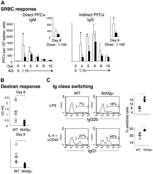 Figure 5. Production of antibodies by WASp-deficient mice is reduced and delayed, but class switching in vitro is enhanced. (A) Individual antibody-secreting cells were enumerated from spleens of immunized wild-type (WT) and WASp-deficient (WASp–) mice, using the hemolytic plaque assay. Mice were immunized by intraperitoneal injection of SRBCs, diluted 1:10 (results presented in large graphs) or 1:100 (small graphs). Numbers of direct PFCs detecting IgM-secreting cells and indirect PFCs detecting IgG-secreting cells are shown as a function of days after immunization (DaI). Each bar represents the mean value from at least 4 mice. Error bars show one SD and asterisks indicate a significance level of P < .05 using a 2-tailed t test. Presented results are representative of 2 similar experiments. AD indicates antigen dose. (B) Antibody response to the T-cell–independent antigen dextran. The 6 WASp– mice produced much less, if any, dextran-specific antibodies compared with 6 WT mice. Serum antibody titers were measured 6 or 9 days following intraperitoneal injection of 2 μg dextran. The dextran-specific immunoglobulins were analyzed in serum dilutions using ELISA. The level of significance was calculated using a 2-tailed t test and the bracket indicates P < .01. (C) Numbers of IgG2b- and IgG1-producing B cells. WT and WASp– B cells were cultured with LPS or IL-4 plus anti-CD40 mAbs for 4 days. IgG-producing cells were identified after intracellular staining and flow cytometry. The percentage of IgG2b- and IgG1-producing cells is indicated above the brackets in the histograms (left). The graphs to the right indicate the percentage of IgG2b- and IgG1-producing cells from 4 WT and 4 WASp– mice. Brackets indicate a significance level of P < .01 using a 2-tailed t test. The isotype-matched controls had less than 0.5% stained cells. Presented results are representative of 2 similar experiments.