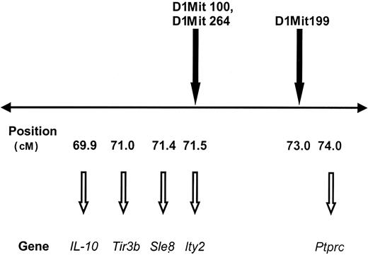 Figure 5. The polymorphic markers D1Mit100, D1Mit264, and D1Mit199 are near various immunoregulatory genes on chromosome 1. Mouse chromosome 1 is depicted with a horizontal line. Polymorphic markers associated with antibody development are shown above the line. The map positions along chromosome 1 (in cM) are shown below the line, as are genes found near these markers. Tir3b indicates trypanosomiasis infection response gene 3b; Sle8, systemic lupus erythematosus susceptibility gene 8; Ity2, immunity to Salmonella typhimurium 2 gene; Ptprc, protein tyrosine phosphatase, receptor type, C (also called CD45, B220).