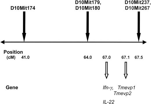 Figure 6. The polymorphic markers D10Mit174, D10Mit179, D10Mit180, D10Mit237, and D10Mit267 are near the mouse IFNγ gene on chromosome 10. Mouse chromosome 10 is depicted with a horizontal line. Polymorphic markers that were analyzed for their association with antibody development are shown above the line. The map positions along chromosome 10 (in cM) are shown below the line, as are genes located near the associated markers. Tmevp1 and 2 indicate Theiler murine encephalomyelitis virus persistence genes 1 and 2.