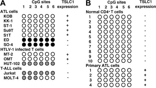 Figure 4. Methylation analysis of TSLC1. (A) Methylation state of the TSLC1 promoter in 6 CpG sites in 7 ATL, 3 HTLV-1–infected T-cell, and 2 T-ALL cell lines determined by bisulfite-SSCP and sequencing. (B) Methylation state of the TSLC1 promoter in 6 CpG sites in normal CD4+ T cells from 10 healthy volunteers and 4 patients with ATL determined by bisulfite-SSCP and sequencing. Black, gray, and white circles represent methylated, partially methylated, and unmethylated CpGs, respectively. Columns correspond to the 6 CpG sites just upstream of the predicted TATA box sequence.