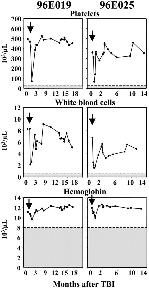 Figure 2. Blood cell counts following 3Gy TBI. Arrows indicate the administration of 3 Gy TBI. Shadowed areas indicate clinically significant thresholds for cytopenias. The nadir counts for 96E019 and 96E025, respectively, were 74 × 103/μL and 66 × 103/μL (platelets), 2.13 × 103/μL and 1.43 × 103/μL (white blood cells), and 9.62 × 103/μL and 9.58 × 103/μL (hemoglobin). The decrease in blood cell counts was mild and transient in both animals and did not cause any discernable symptoms.