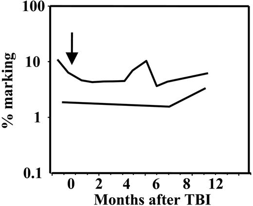 Figure 5. Overall retroviral marking levels. The arrow indicates the time of 3 Gy TBI. The upper line corresponds to animal 96E019 and the lower line, to animal 96E025. The marking was stable in both animals after low-dose 3 Gy TBI, despite marked clonal fluctuation. The marking level for the animal 96E025 was 4% to 10% and for the animal 96E025, 1.5% to 3%.