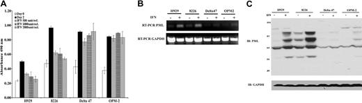 Figure 1. IFN-α–induced growth inhibition in MM correlates with enhanced PML expression. (A) Proliferation of MM cell lines H929, 8226, Delta47, and OPM2 following treatment with indicated amounts of IFN-α for 48 hours was determined by MTS assay as described in “Materials and methods.” Data are the average of 3 independent experiments performed in triplicate (±SD). (B) RT-PCR analysis of transcriptional induction of PML mRNA in the indicated MM cell lines with (+) or without (-) IFN-α (2000 U/mL) treatment for 48 hours. The amplified fragment is located at 5′-end and appears in all PML isoforms. The level of GAPDH serves as loading control. (C) Western blot analysis of PML protein isoforms using rabbit polyclonal anti-PML with (+) or without (-) IFN-α (2000 U/mL) treatment for 48 hours. The level of GAPDH serves as loading control.